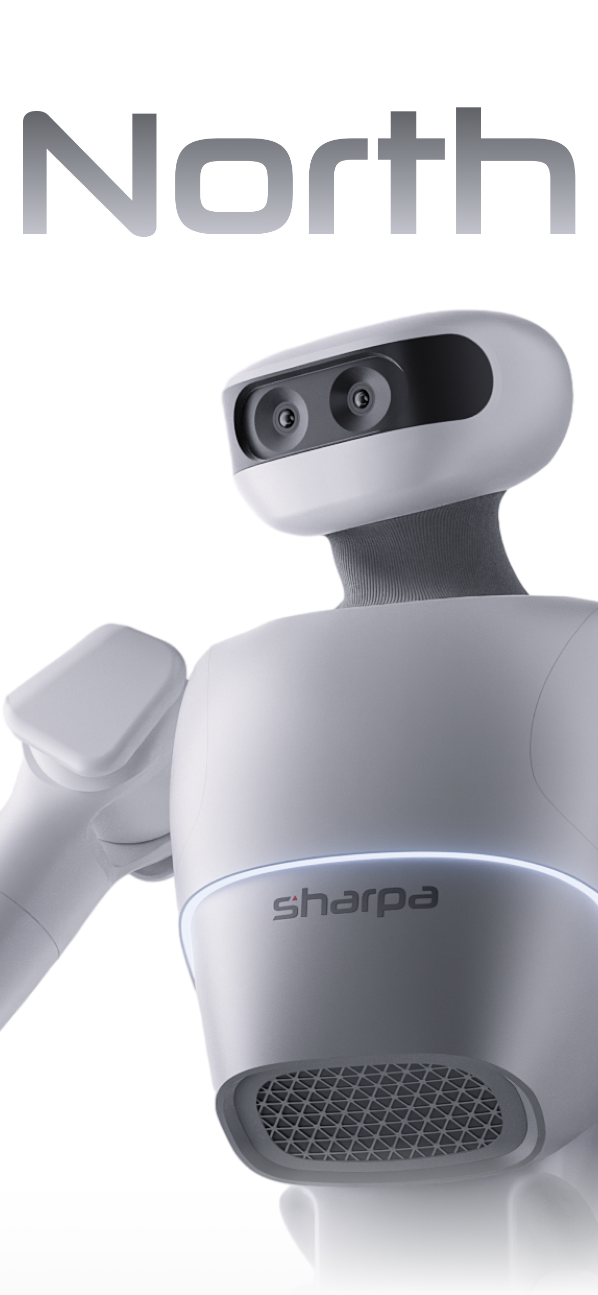 Sharpa North, a 67 DoF humanoid robot for productive work